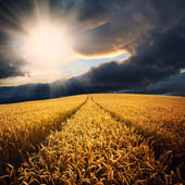 photographie d'un paysage avec un lever de soleil