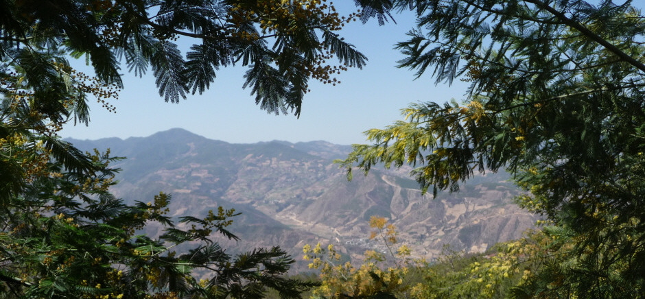 stage Qi Gong en Chine