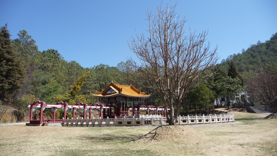 stage Qi Gong sur le mont sacré en Chine